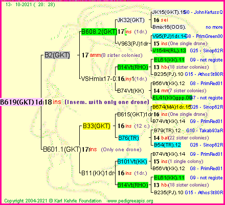 Pedigree of B619(GKT)1dr :
four generations presented
it's temporarily unavailable, sorry!