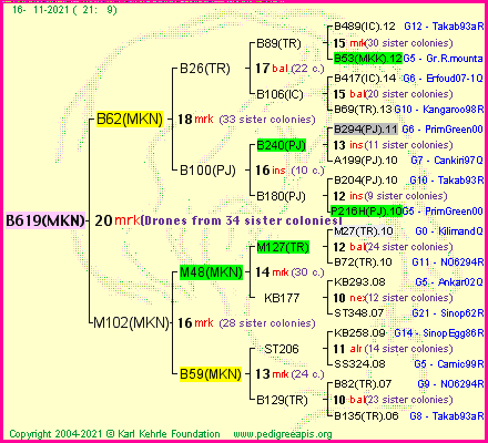 Pedigree of B619(MKN) :
four generations presented
it's temporarily unavailable, sorry!