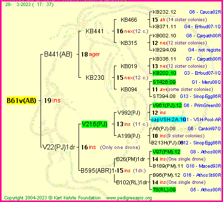 Pedigree of B61v(AB) :
four generations presented
it's temporarily unavailable, sorry!