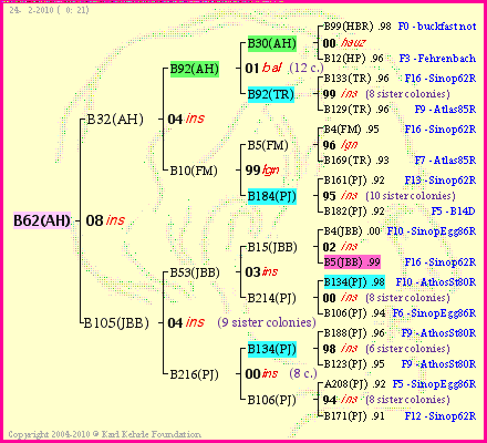 Pedigree of B62(AH) :
four generations presented