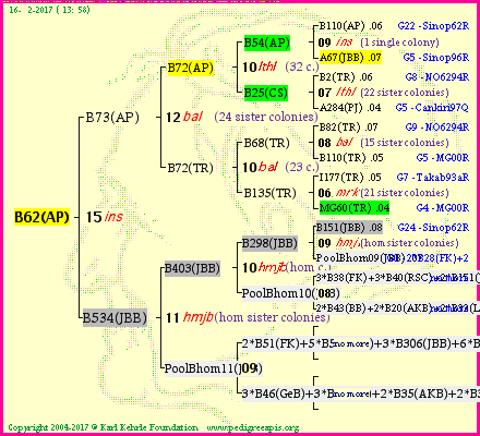 Pedigree of B62(AP) :
four generations presented