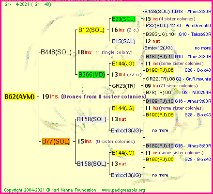 Pedigree of B62(AVM) :
four generations presented
it's temporarily unavailable, sorry!