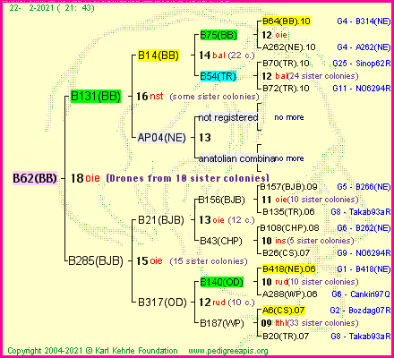 Pedigree of B62(BB) :
four generations presented
it's temporarily unavailable, sorry!