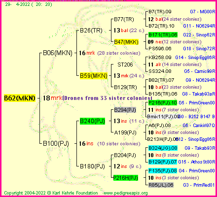 Pedigree of B62(MKN) :
four generations presented
it's temporarily unavailable, sorry!