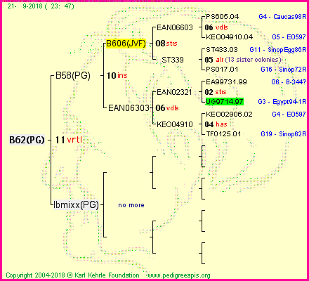 Pedigree of B62(PG) :
four generations presented<br />it's temporarily unavailable, sorry!