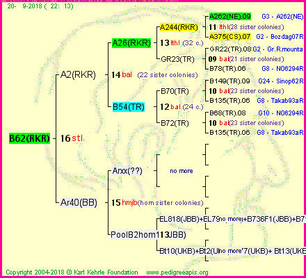 Pedigree of B62(RKR) :
four generations presented<br />it's temporarily unavailable, sorry!