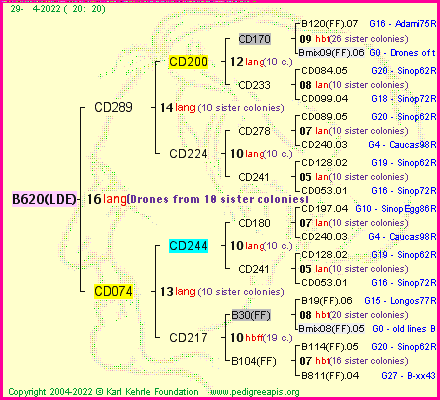 Pedigree of B620(LDE) :
four generations presented
it's temporarily unavailable, sorry!