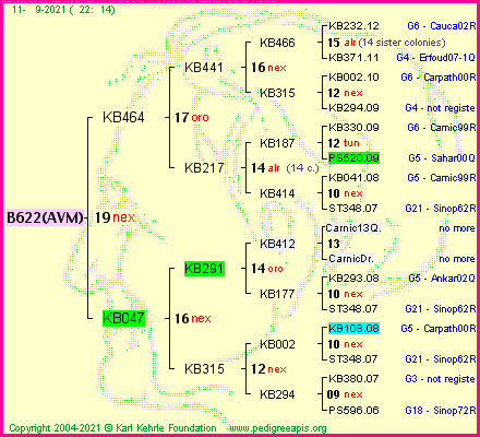 Pedigree of B622(AVM) :
four generations presented
it's temporarily unavailable, sorry!