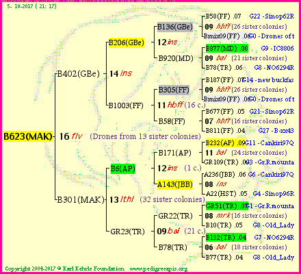 Pedigree of B623(MAK) :
four generations presented<br />it's temporarily unavailable, sorry!