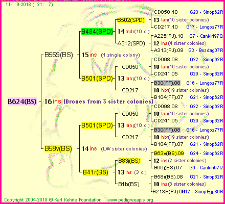 Pedigree of B624(BS) :
four generations presented<br />it's temporarily unavailable, sorry!