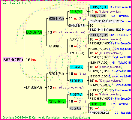 Pedigree of B624(CBP) :
four generations presented<br />it's temporarily unavailable, sorry!