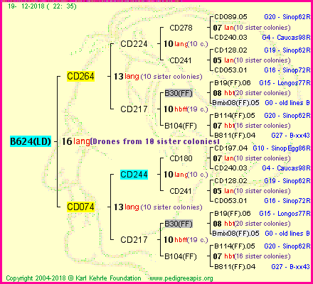 Pedigree of B624(LD) :
four generations presented<br />it's temporarily unavailable, sorry!