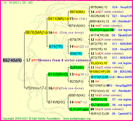 Pedigree of B624(MA) :
four generations presented
it's temporarily unavailable, sorry!