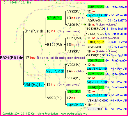 Pedigree of B624(PJ)1dr :
four generations presented<br />it's temporarily unavailable, sorry!