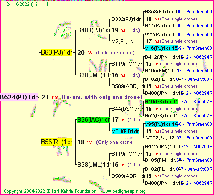 Pedigree of B624(PJ)1dr :
four generations presented
it's temporarily unavailable, sorry!