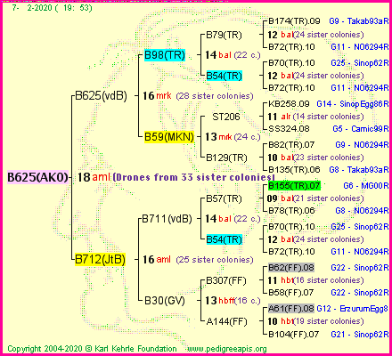 Pedigree of B625(AKO) :
four generations presented<br />it's temporarily unavailable, sorry!