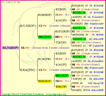 Pedigree of B626(BOP) :
four generations presented