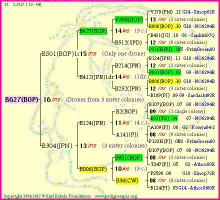 Pedigree of B627(BOP) :
four generations presented