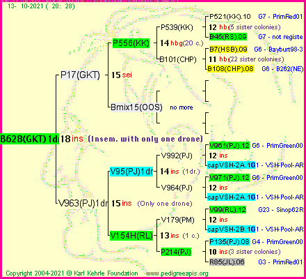 Pedigree of B628(GKT)1dr :
four generations presented
it's temporarily unavailable, sorry!