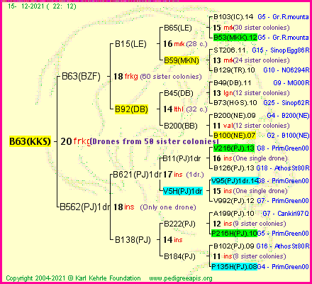 Pedigree of B63(KKS) :
four generations presented
it's temporarily unavailable, sorry!