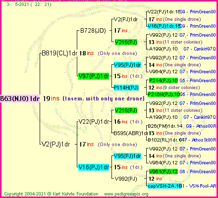 Pedigree of B63(NJO)1dr :
four generations presented
it's temporarily unavailable, sorry!