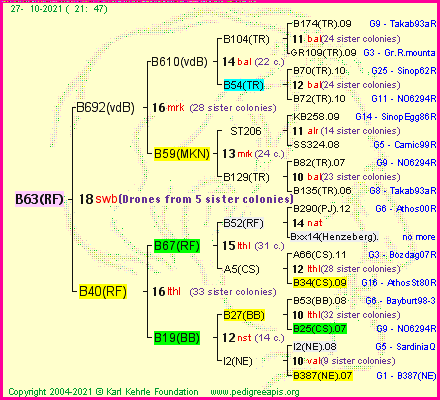 Pedigree of B63(RF) :
four generations presented
it's temporarily unavailable, sorry!