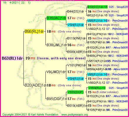 Pedigree of B63(RL)1dr :
four generations presented
it's temporarily unavailable, sorry!