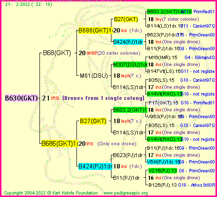 Pedigree of B630(GKT) :
four generations presented
it's temporarily unavailable, sorry!