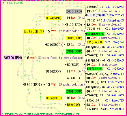 Pedigree of B630(JPN) :
four generations presented