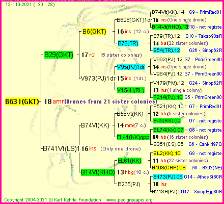 Pedigree of B631(GKT) :
four generations presented
it's temporarily unavailable, sorry!