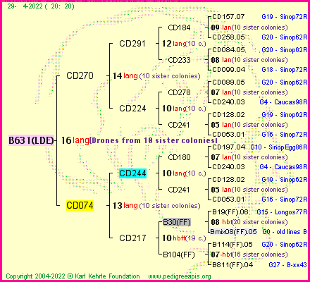 Pedigree of B631(LDE) :
four generations presented
it's temporarily unavailable, sorry!