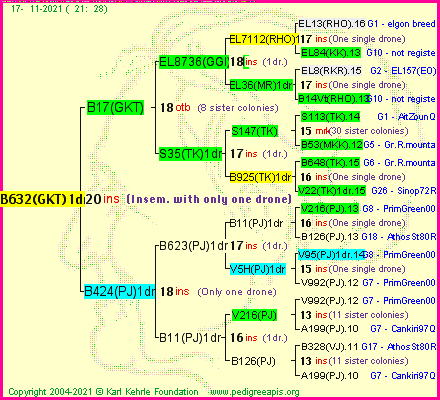 Pedigree of B632(GKT)1dr :
four generations presented
it's temporarily unavailable, sorry!