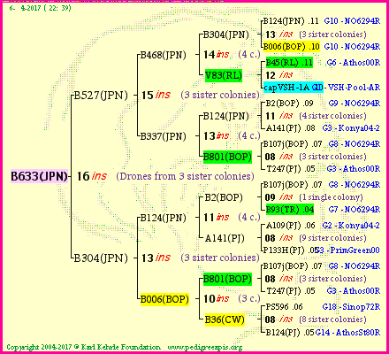 Pedigree of B633(JPN) :
four generations presented