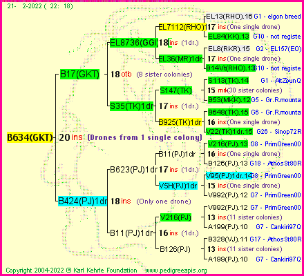 Pedigree of B634(GKT) :
four generations presented
it's temporarily unavailable, sorry!