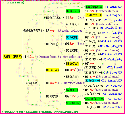 Pedigree of B634(PRE) :
four generations presented