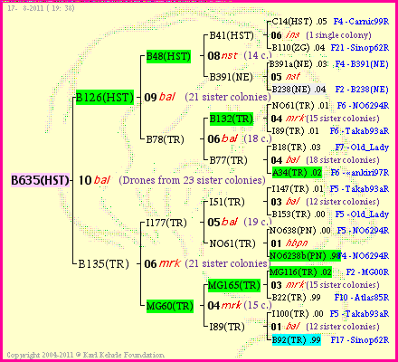 Pedigree of B635(HST) :
four generations presented