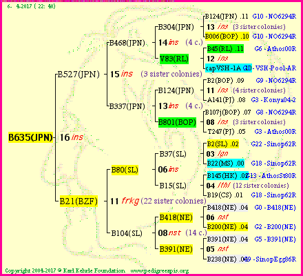 Pedigree of B635(JPN) :
four generations presented