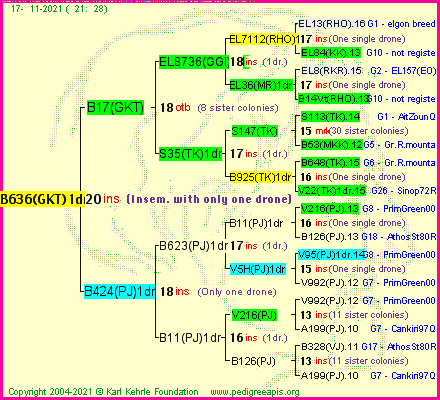 Pedigree of B636(GKT)1dr :
four generations presented
it's temporarily unavailable, sorry!