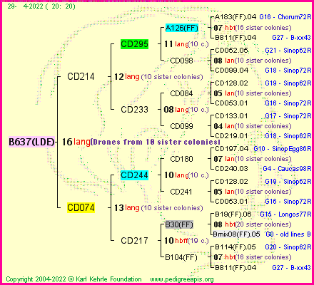 Pedigree of B637(LDE) :
four generations presented
it's temporarily unavailable, sorry!