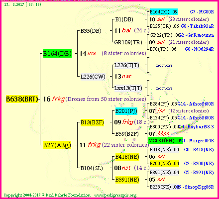 Pedigree of B638(BRT) :
four generations presented