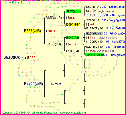 Pedigree of B638(KA) :
four generations presented
it's temporarily unavailable, sorry!