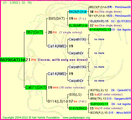 Pedigree of B639(GKT)1dr :
four generations presented
it's temporarily unavailable, sorry!