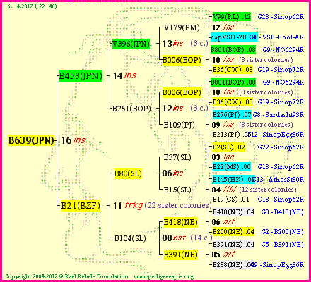 Pedigree of B639(JPN) :
four generations presented