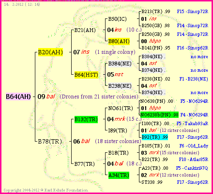 Pedigree of B64(AH) :
four generations presented