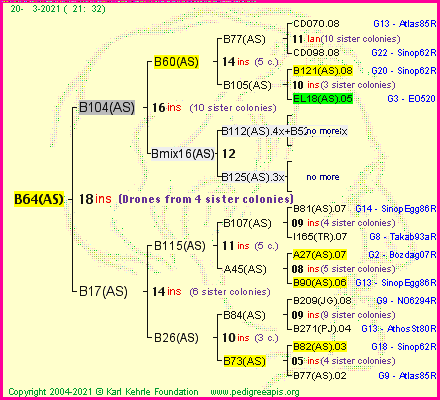 Pedigree of B64(AS) :
four generations presented
it's temporarily unavailable, sorry!