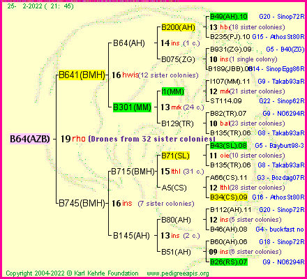 Pedigree of B64(AZB) :
four generations presented
it's temporarily unavailable, sorry!