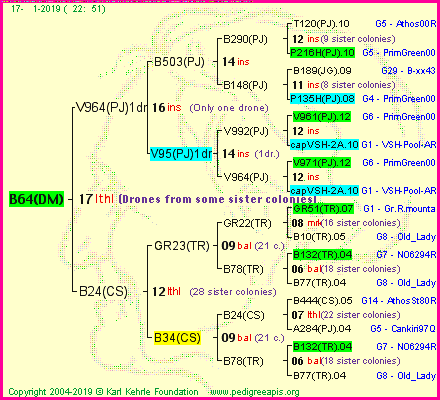 Pedigree of B64(DM) :
four generations presented<br />it's temporarily unavailable, sorry!