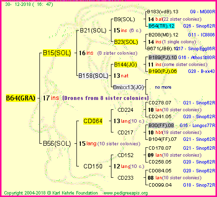 Pedigree of B64(GRA) :
four generations presented<br />it's temporarily unavailable, sorry!