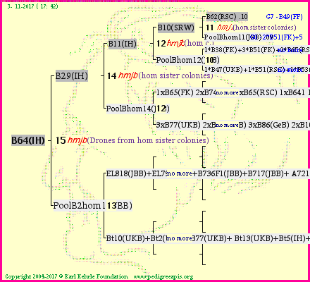 Pedigree of B64(IH) :
four generations presented<br />it's temporarily unavailable, sorry!