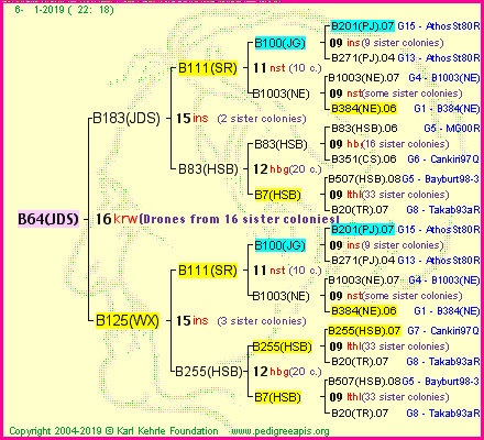 Pedigree of B64(JDS) :
four generations presented<br />it's temporarily unavailable, sorry!